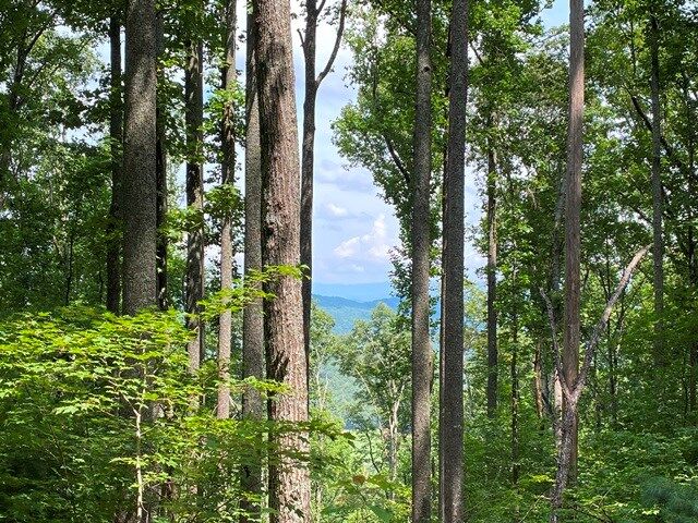 Property Photo:  Lot 1 High Country Lane  GA 30560 