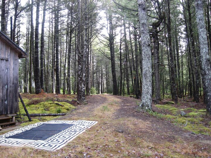 Property Photo:  77 Bear Cove Road  NS B0T 1E0 
