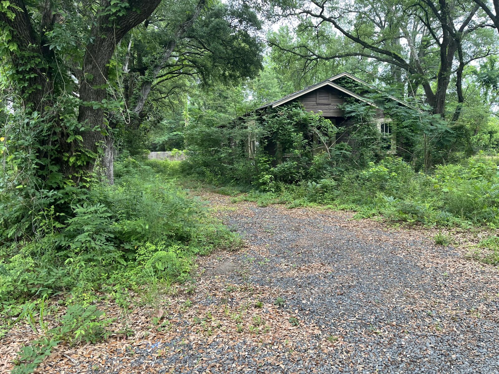 Property Photo:  163 &Amp 141A Pelt  LA 71446 
