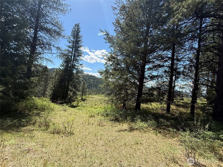 Property Photo:  0 Tbd  Fir Lane  WA 99118 