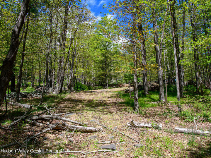 Property Photo:  000 Upper Samsonville  NY 12461 