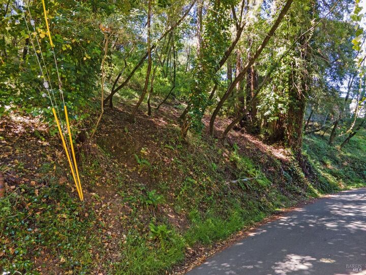Property Photo:  160 Spring Grove Avenue  CA 94960 