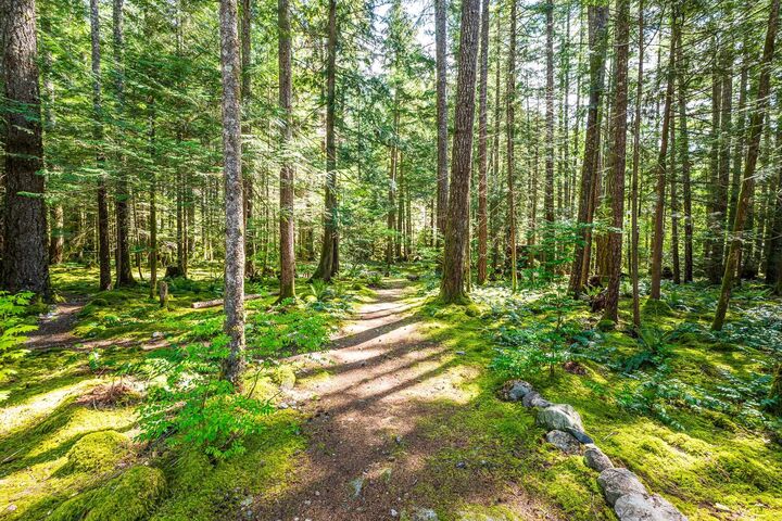 Property Photo: 4030 Midnight Way BC V0N 1H0