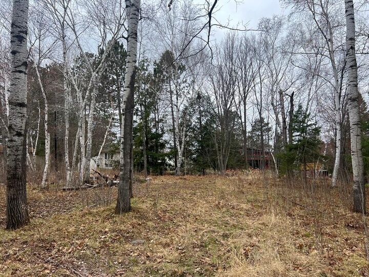 Property Photo: Tbd 3rd Avenue SW MN 55744