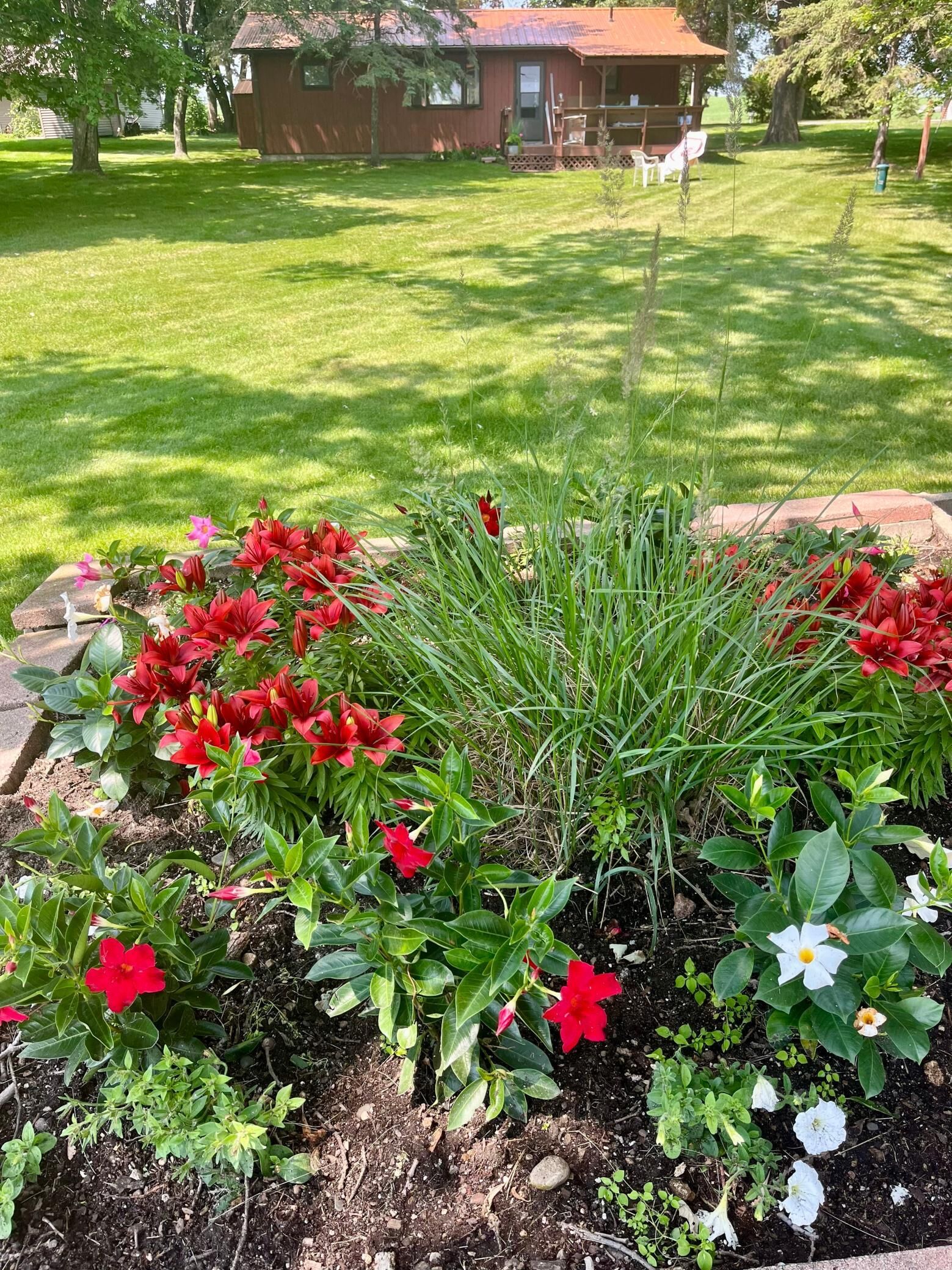 Property Photo:  33620 Wildwood Drive  MN 56528 