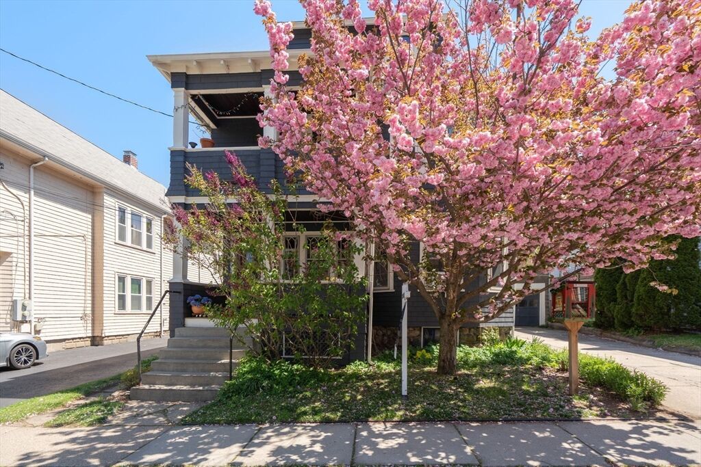 Property Photo:  45 Springfield Street 1  MA 02478 