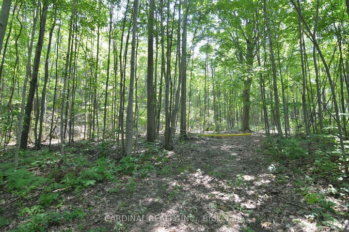 Property Photo: 0 Browns/George Road ON K0K 2X0