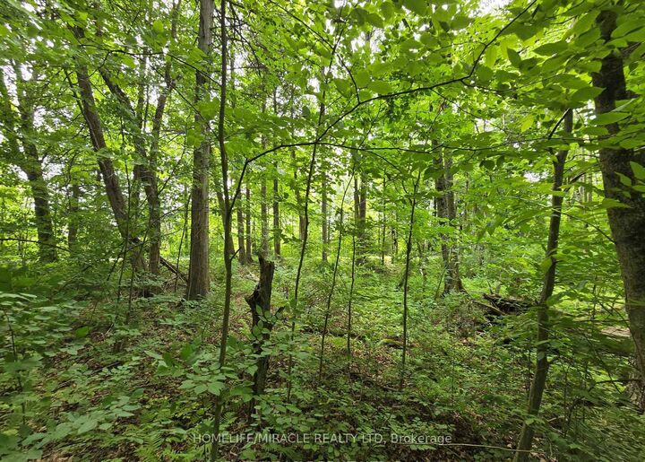 Property Photo: 000 Cedar Sands Road ON K0E 1N0