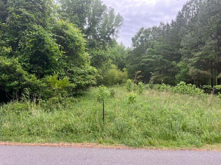 Property Photo: 1.0 Acre Mansion Avenue VA 23899