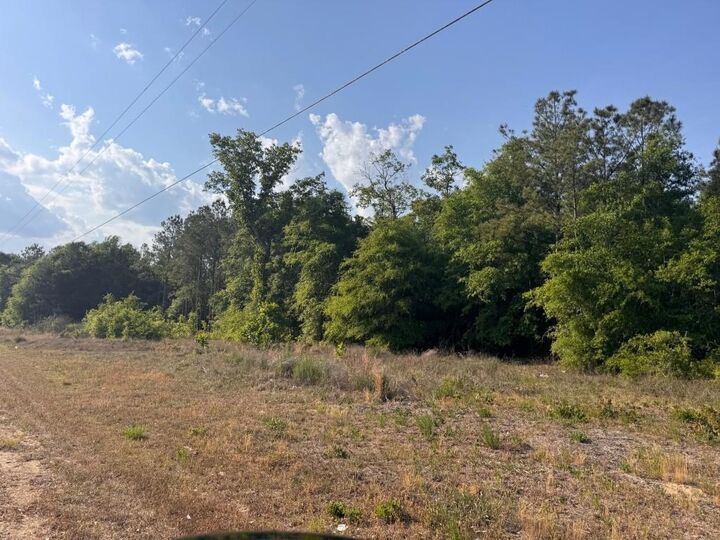 Property Photo:  2716 W Highway 378 Hannah  SC 29546 