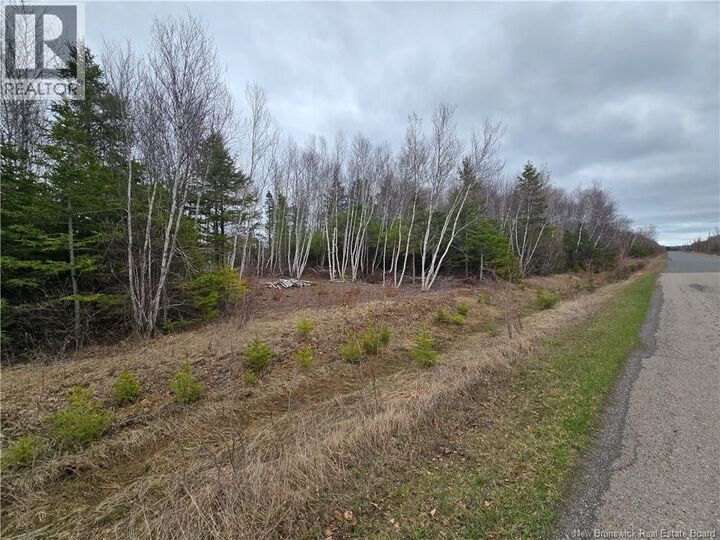 Property Photo:  1.5 Acres Chemin Pierre-à-Miguel  NB E8P 0E3 