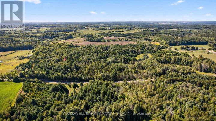 Property Photo:  8155 19th Sideroad  ON L0G 1T0 