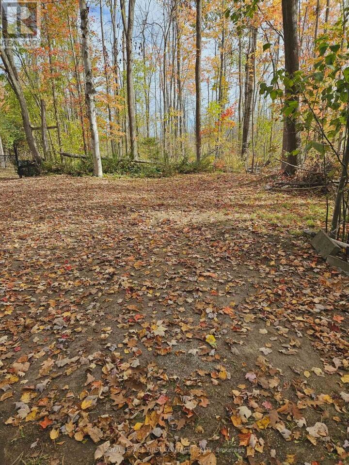 Property Photo:  3040 Grass Lake Line  ON L0K 2B0 