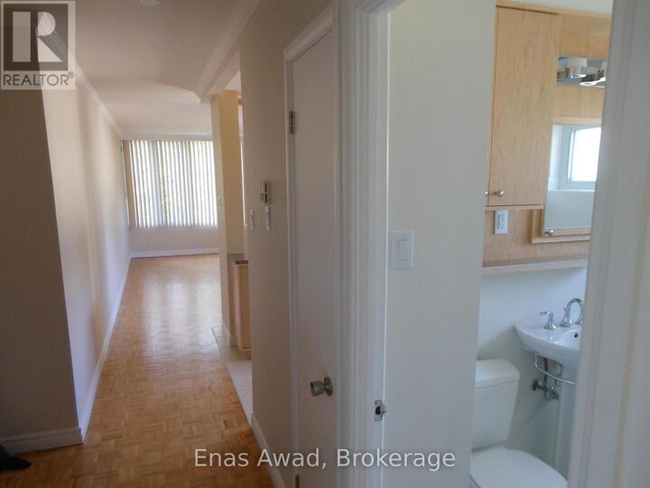 Property Photo:  111 Crichton Street 3  ON K1M 1V8 