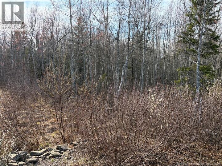 Property Photo:  Lot 1 Cocagne Sud  NB E4R 2C9 