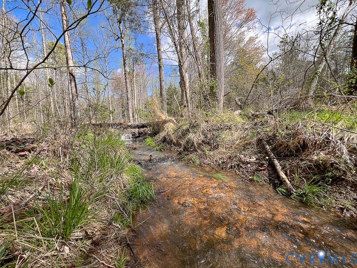 Property Photo:  116.32 Acres Gilliam Mill Road  VA 23936 