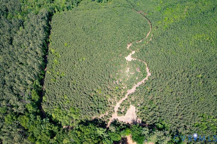 Property Photo:  116.32 Acres Gilliam Mill Road  VA 23936 