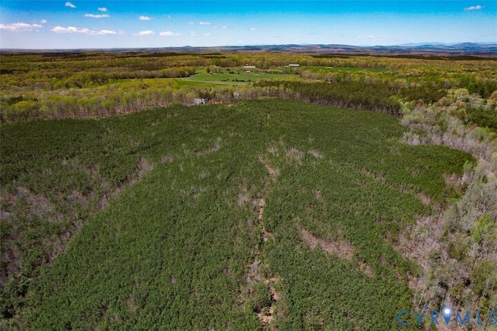 Property Photo:  116.32 Acres Gilliam Mill Road  VA 23936 