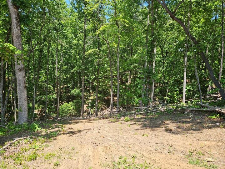Property Photo:  1581 Mount Carmel Church Lane  GA 30114 