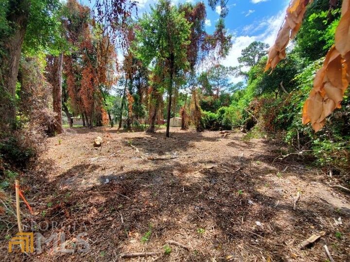 Property Photo:  0 Norris Street  GA 31558 