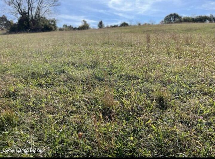 Property Photo:  6 Sugarberry  KY 40071 