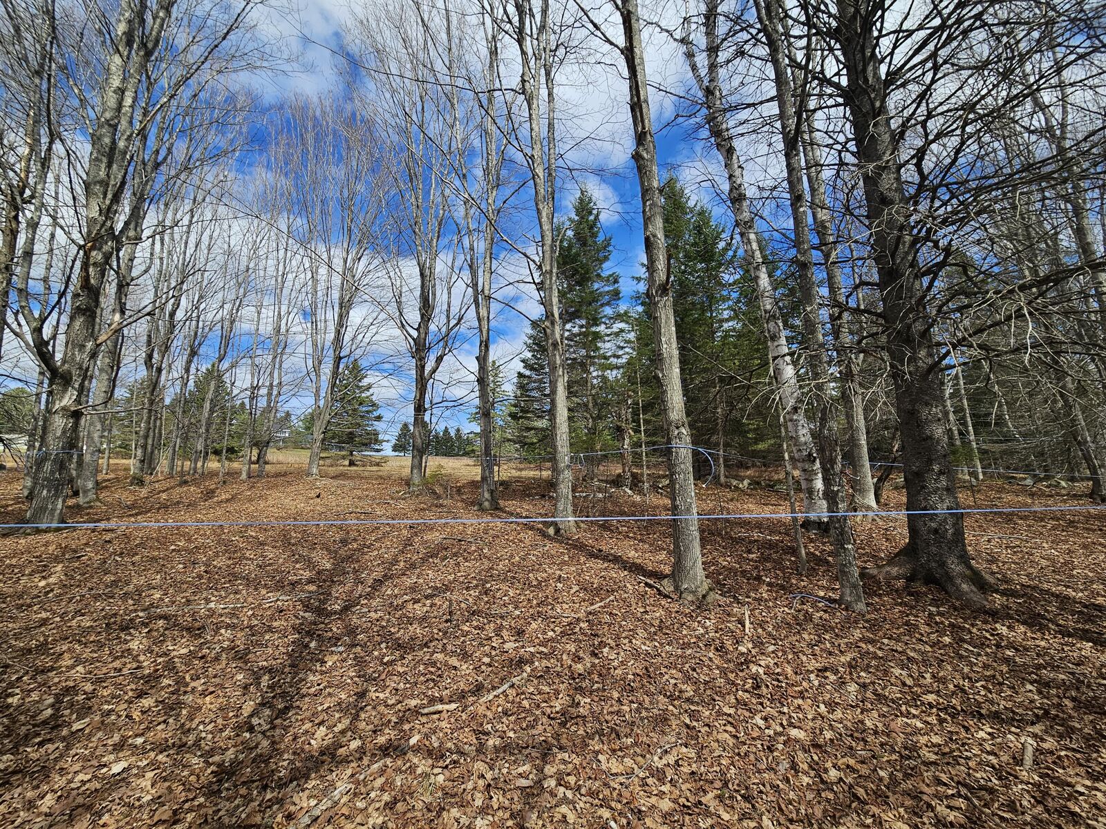 Property Photo:  Lot 9 Amber Road  ME 04970 