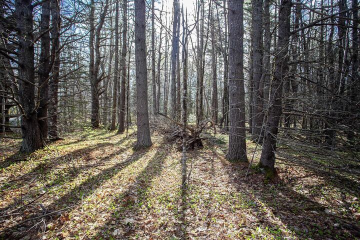 Property Photo:  Lot Middle Road  NS B0S 1M0 
