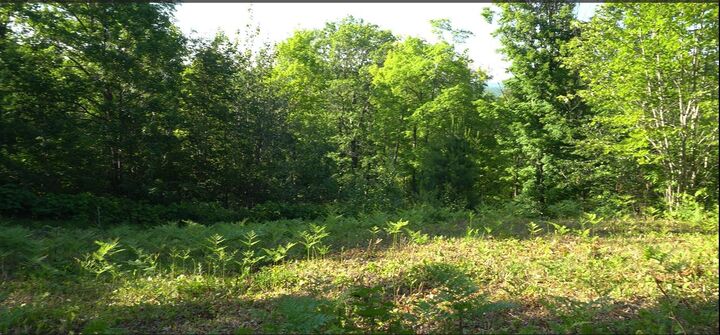 Property Photo:  83xxx - Lot 13 Ashwabay Road  WI 54814 