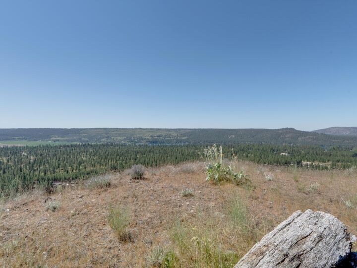Property Photo:  6560 Pine Ridge Way  WA 99026 