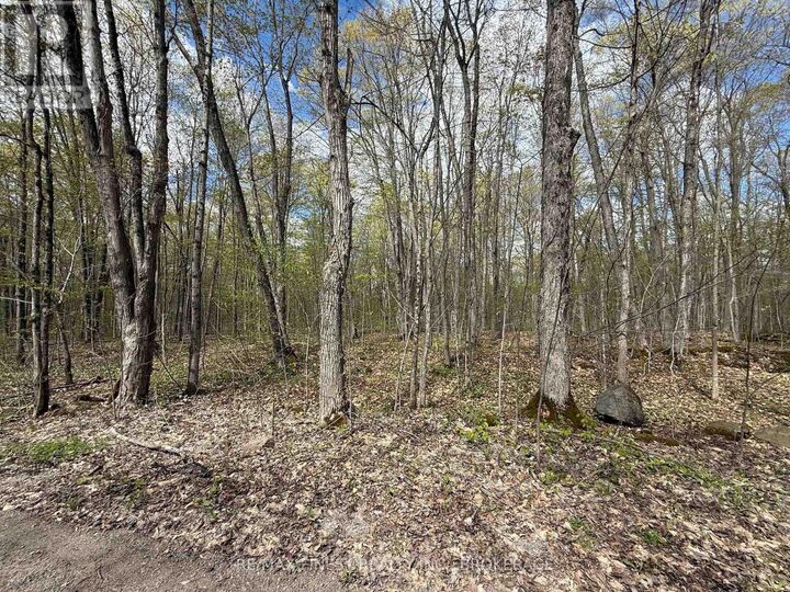 Property Photo:  162 Black Rapids Road  ON K0E 1N0 
