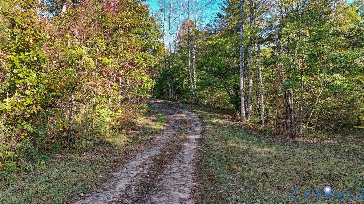 Property Photo: 00 Allen Rosen Road VA 22936
