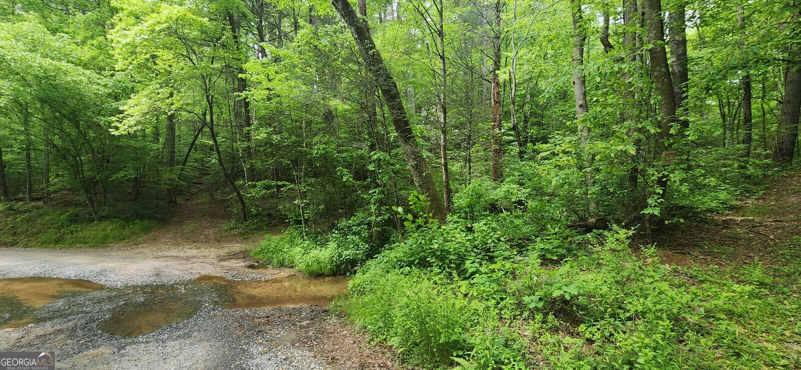 Property Photo:  13 Ac Goose Island Road  GA 30540 