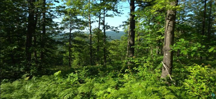 Property Photo:  83xxx Ashwabay Heights Rd  WI 54814 