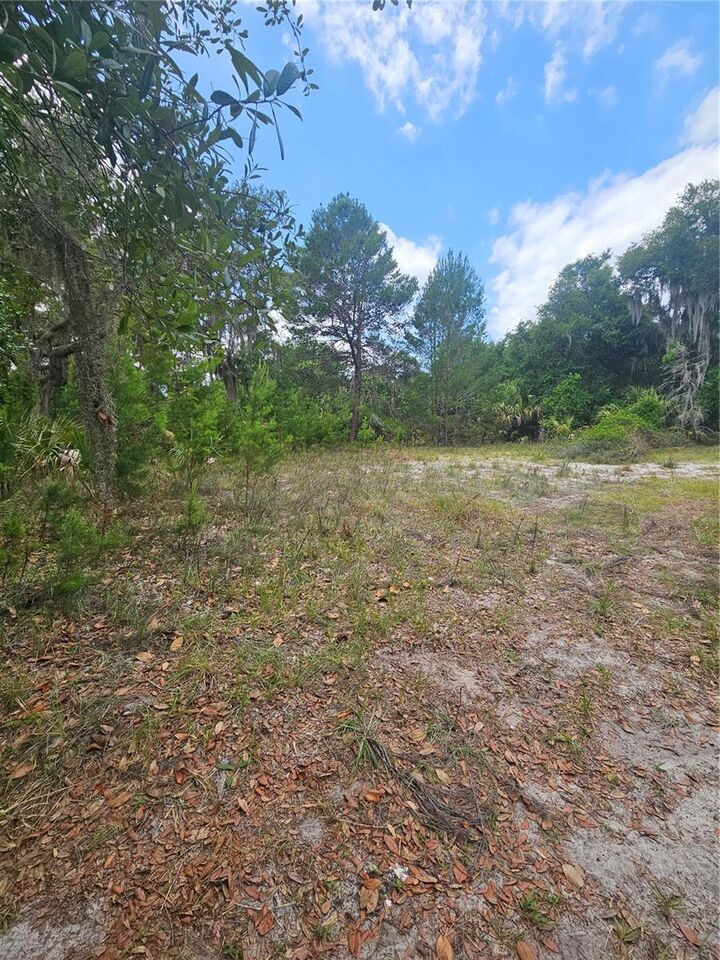 Property Photo:  000 Culver Way  FL 32732 