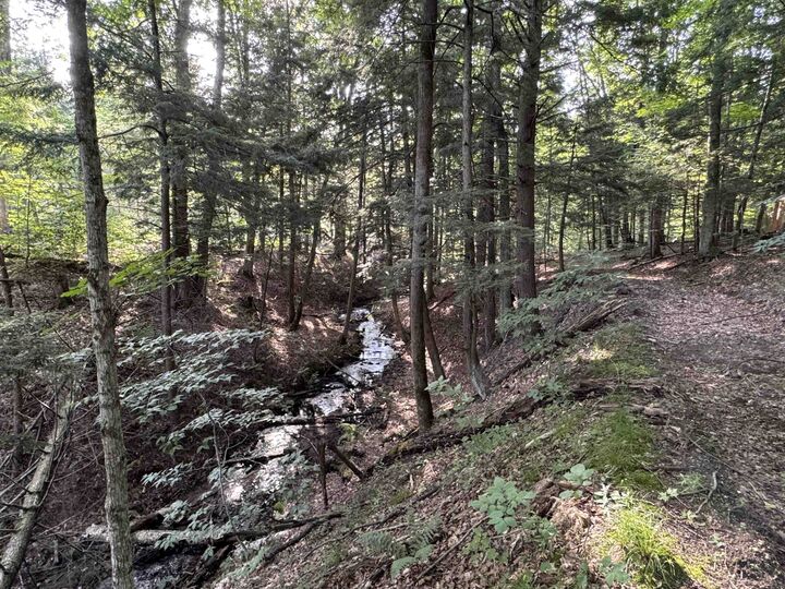 Property Photo:  00 W Beeman Road  MI 49630 