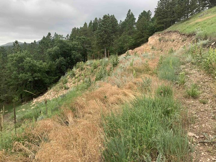 Property Photo: 13038 Lance Lane SD 57769