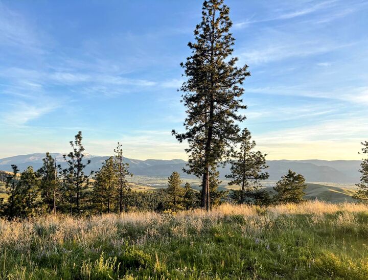 Property Photo:  3485 Ridge View Road  MT 59808 