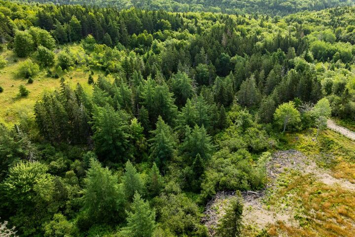 Property Photo:  Lot 5 Highway 19, Hawleys Hill  NS B0E 1X0 