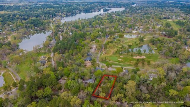 Property Photo:  161 Fairway Drive E  TX 75771 