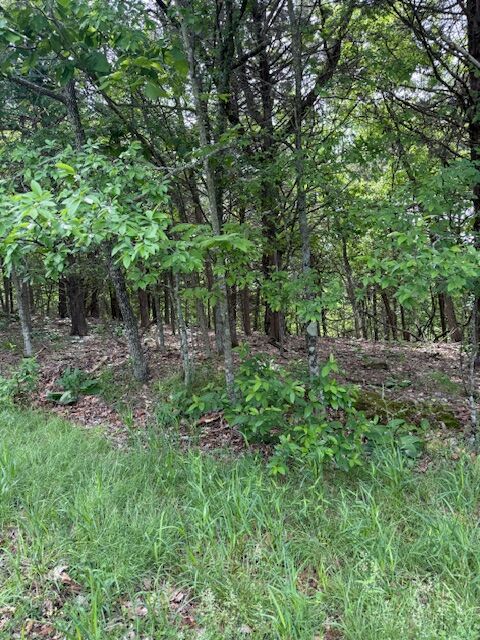 Property Photo:  Lot 67 Rocky Ridge Place  AR 72732 