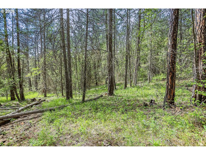Property Photo: Nka Forest Glen Dr #37/38 WA 98620