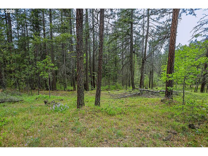 Property Photo: Nka Forest Glen Dr #37 WA 98620