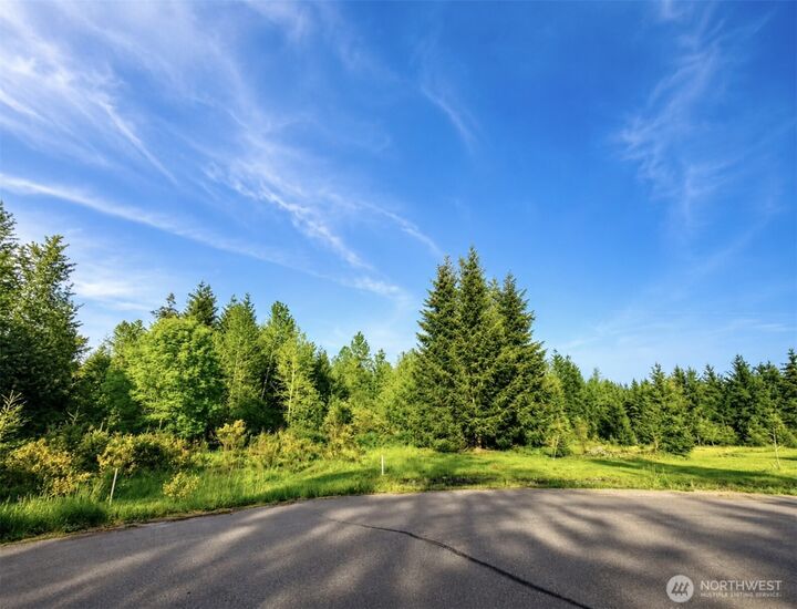 Property Photo:  15312  Sunnyside Lane SE  WA 98597 