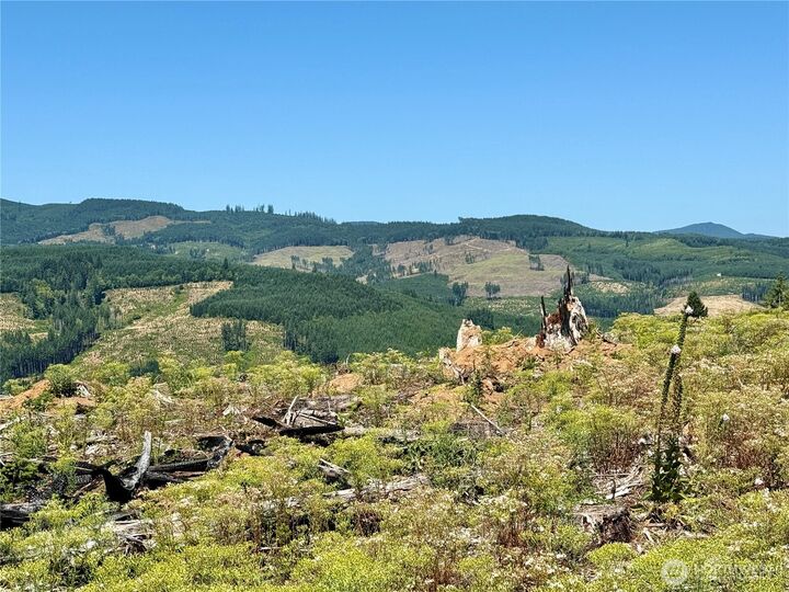 Property Photo:  3700  Little Kalama River Road 6  WA 98584 