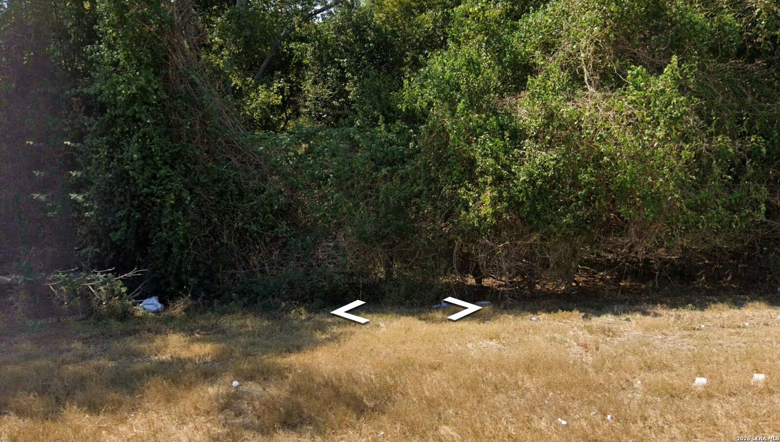 Property Photo:  719 Water  TX 78629 