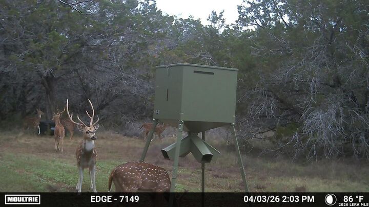 Property Photo:  Tract 2 Elm Pass  TX 78003 