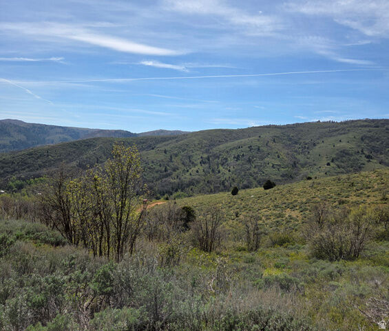 Property Photo:  3379 N Oak Rd 491  UT 84317 