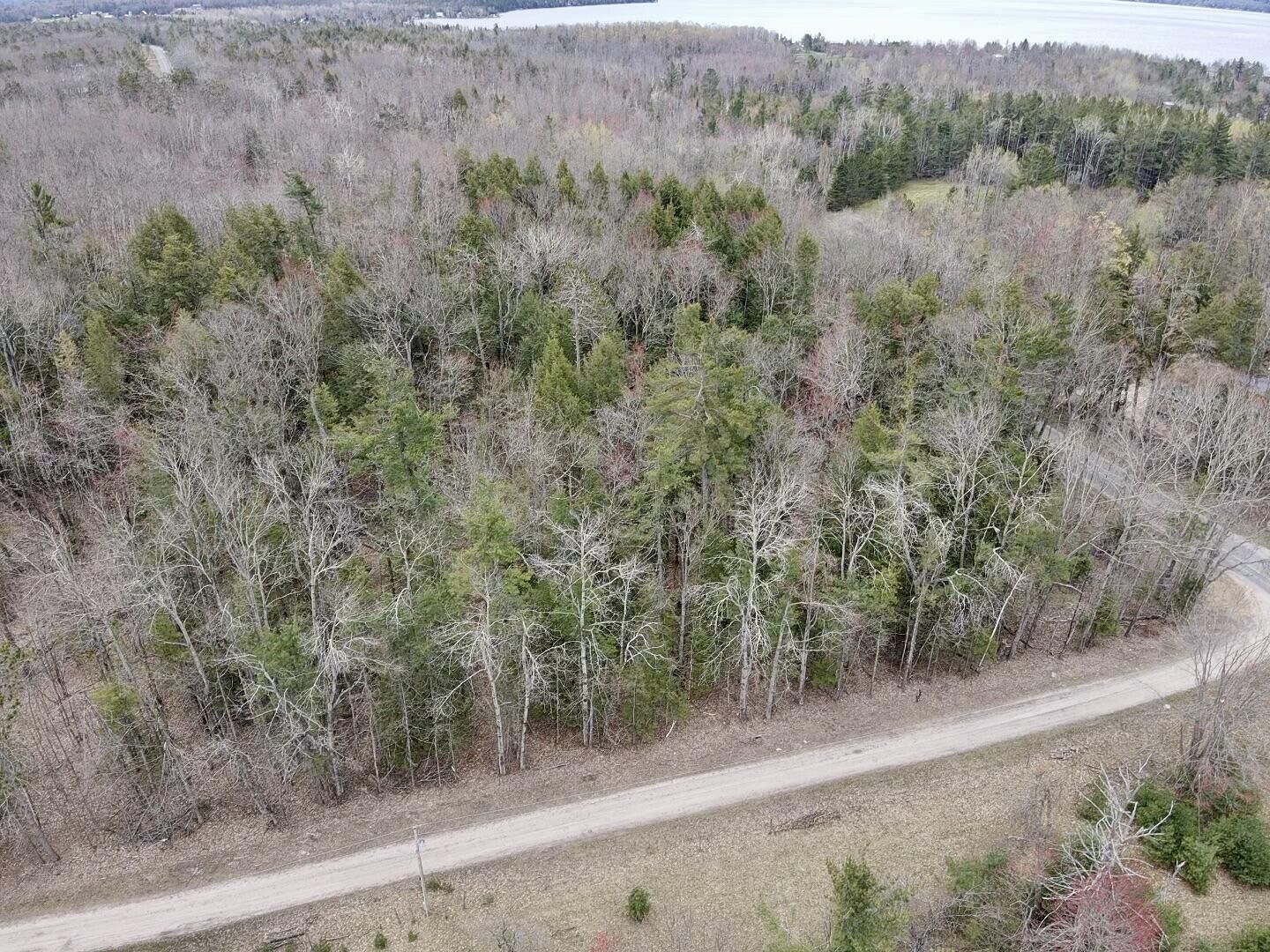 Property Photo:  Par 2 Needles Road  MI 49749 