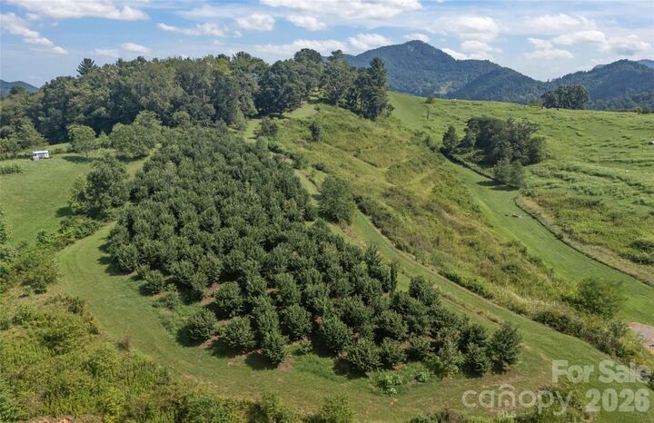 Property Photo:  00000 Buck Ridge Road  NC 28785 
