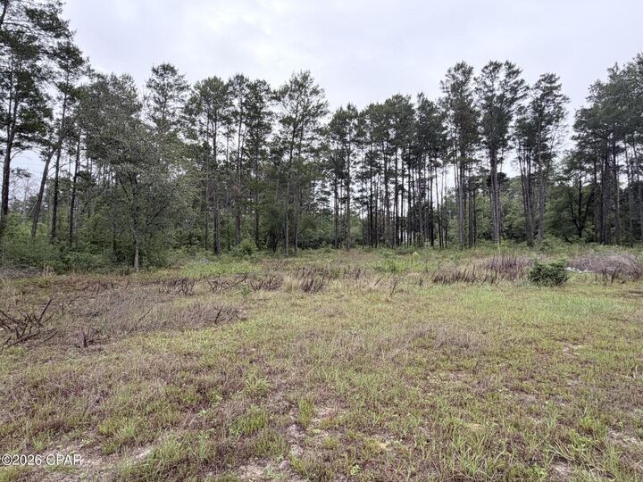 Property Photo:  811 Tashanna Lane  FL 32409 